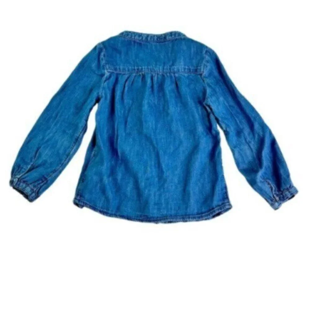 Baby GAP | 2 Piece Floral Ruffle Long Sleeves Tops Size 5T